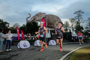 BIB: 
                            <button type="button" onclick="openModal(26529443)" class="btn btn-primary btn-sm float-right btn-popup" data-toggle="modal" data-target=".modal-high-quality">
                        <i class="fas fa-shopping-cart"></i> Add to Cart
                    </button>
                                            <button type="button" onclick="isThisMe(26529443, true)" class="btn btn-success btn-sm float-right btn-popup btn-isme hidden" data-toggle="tooltip" data-placement="bottom" title="นี่คือรูปของคุณใช่ไหม คลิกที่นี่เพื่อเอาเข้าอัลบั้ม">
                        <i class="fas fa-plus"></i> Add to album
                    </button>
                    <button type="button" onclick="isThisMe(26529443, false)" class="btn btn-warning btn-sm float-right btn-popup btn-isnotme hidden">
                        <i class="fas fa-ban"></i> Remove from album
                    </button>